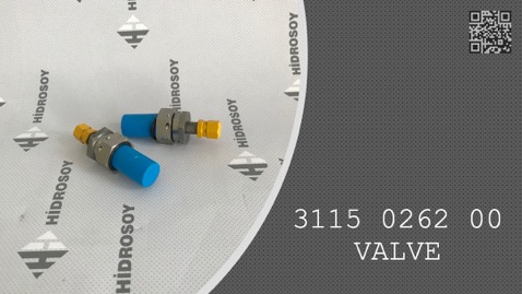 VALVE - 3115 0262 00