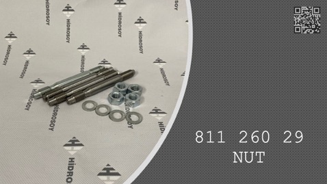 NUT - 811 260 29