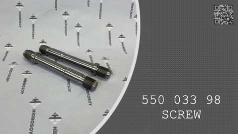 SCREW - 550 033 98