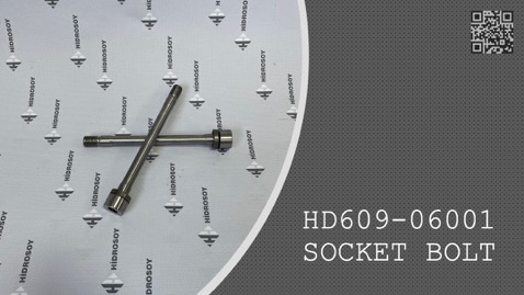 SOCKET BOLT - HD609-06001