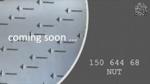 NUT - 150 644 68 - 15064468
