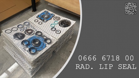RADIAL LIP SEAL - 0666 6718 00 - 0666671800