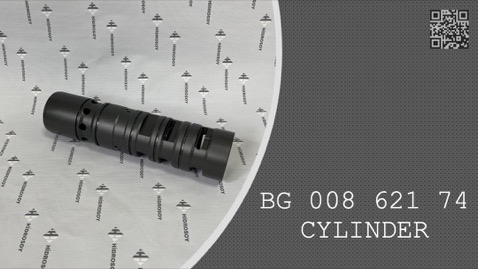PILOT CYLINDER - BG 008 621 74 - BG00862174