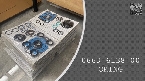 ORING - 0663 6138 00 - 0663613800
