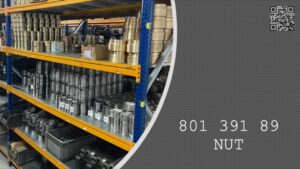NUT - 801 391 89 - 80139189